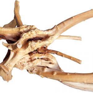 drift wood