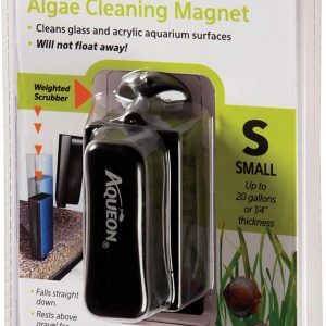 algae scraper
