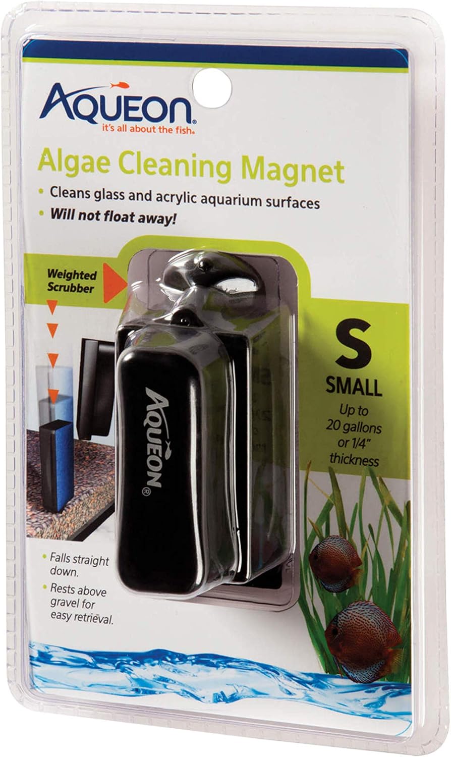 81IsiYJ2TWL._AC_SL1500_ algae scraper