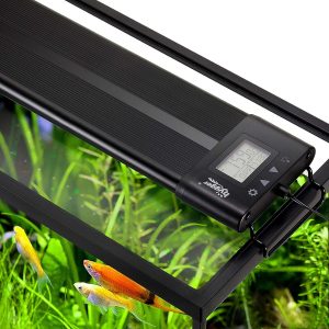 Aquarium Lighting