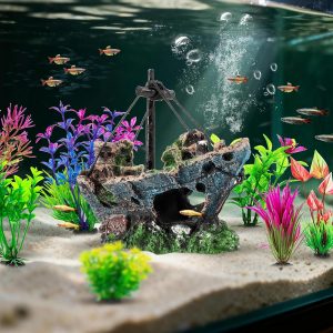 aquarium sunken ship